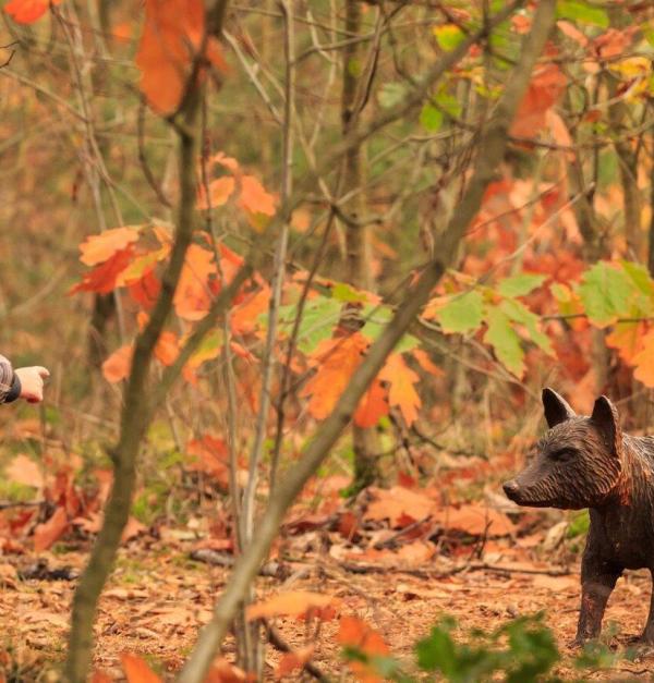 Kind in het bos